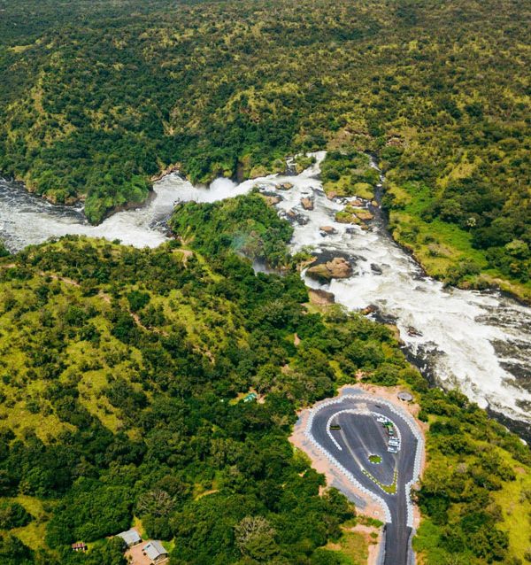 3 Day Murchison Falls with Big 5 Adventure