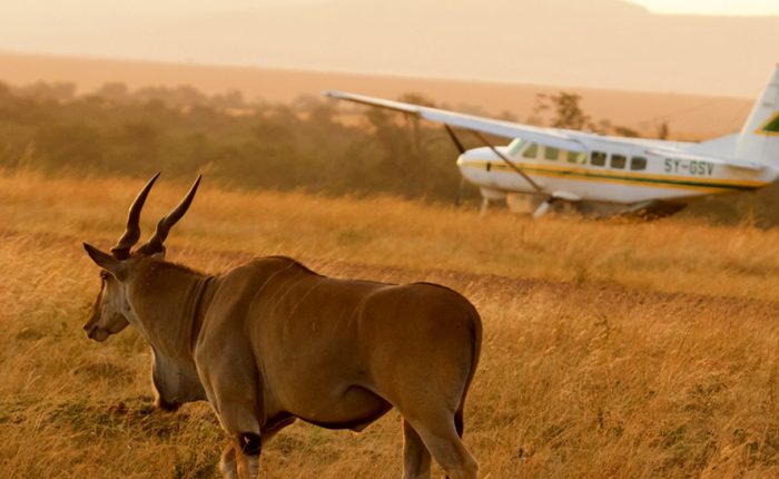 9 Day Highlights of Tanzania Safari