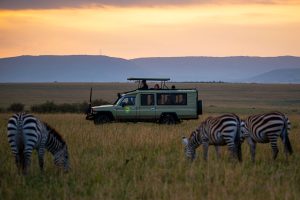 Game Drives in Uganda