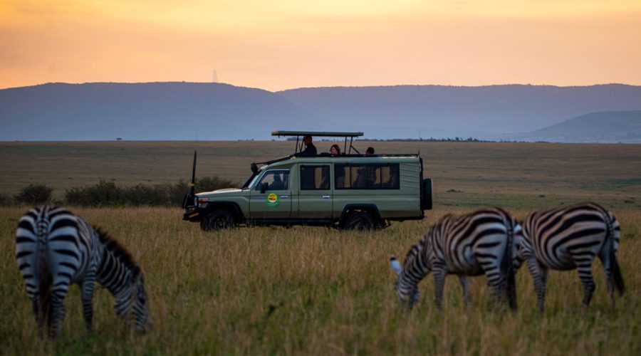 Game Drives in Uganda