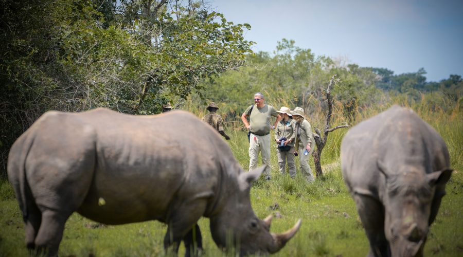 rhino-tracking-in-uganda