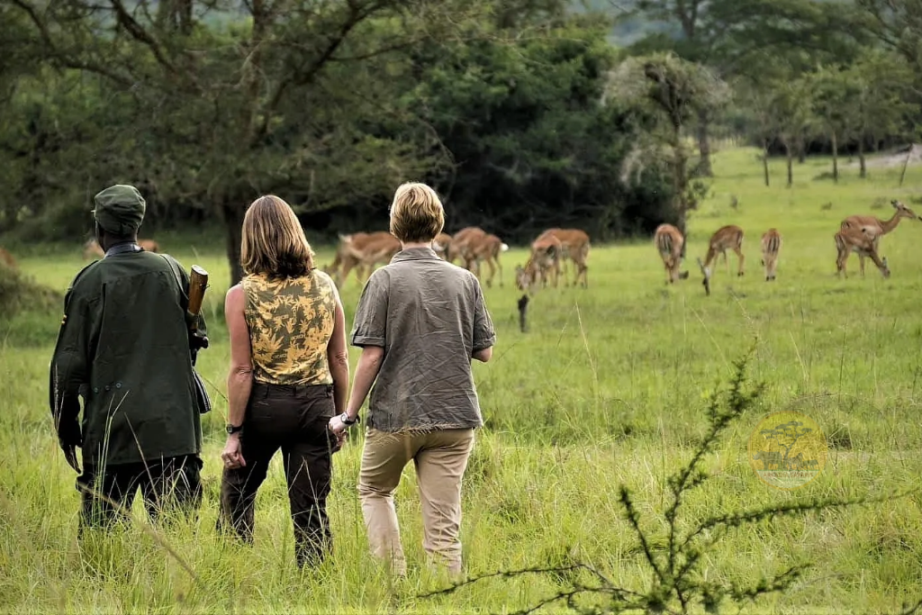 Walking Safaris in Uganda