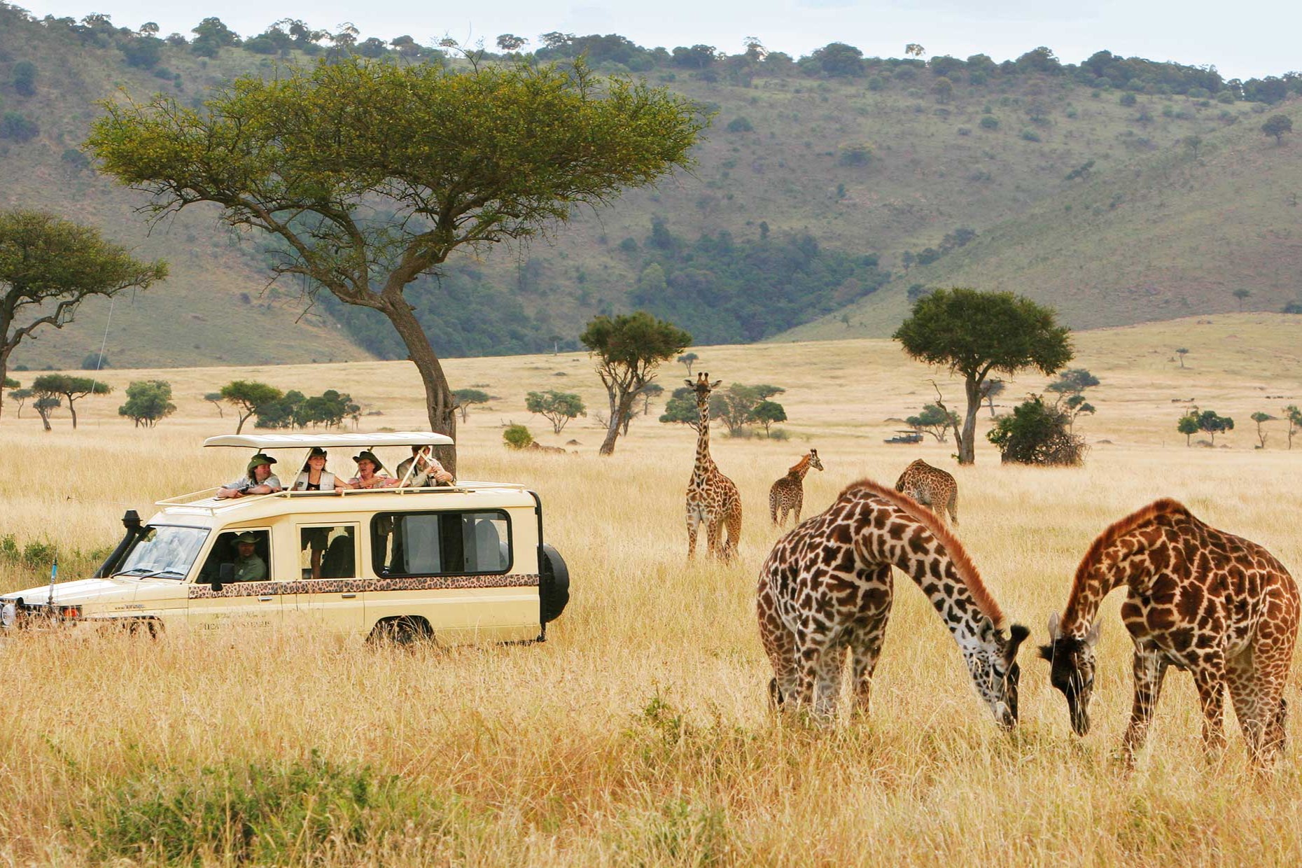 Travel Insurance For a Safari in Africa